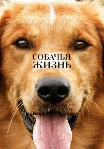 Постер к фильму Собачья жизнь
